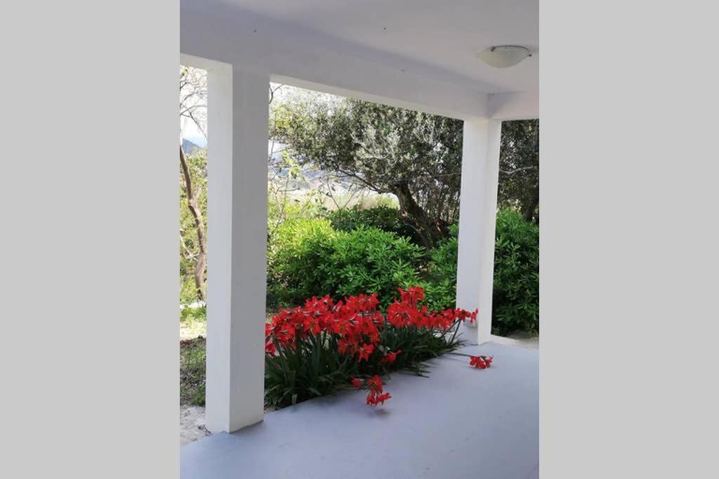 Villa Ribaric Banjol Exterior foto